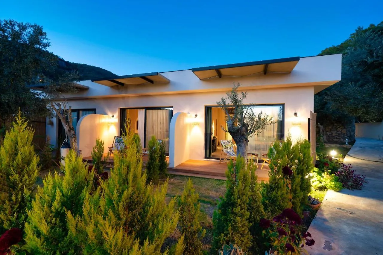 Z Exclusive Hotel And Villas Олудениз 2*,  Турция